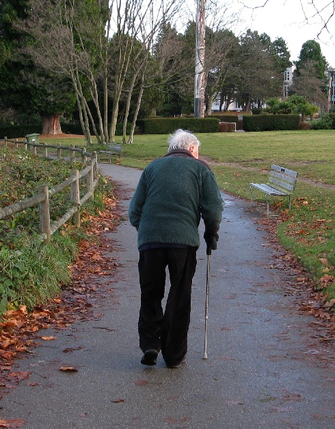 give companionship to lonely seniors